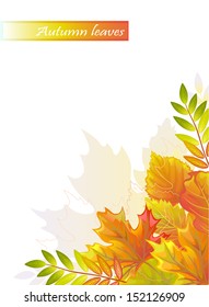 Autumn abstract composition with leaves and place for your text - vector 