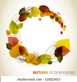 Arrière-plan abstrait floral - cercle à partir de feuilles colorées avec place pour votre texte