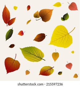 Autumn abstract floral background pattern made from colorful leafs