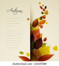 Autumn abstract floral background with place for your text