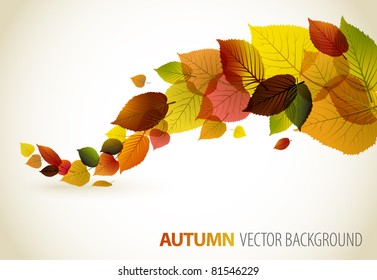 Autumn Abstract Floral Background With Place For Your Text