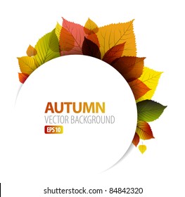 Automne arrière-plan abstrait floral avec place pour votre texte