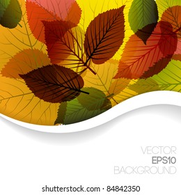 Autumn abstract floral background with place for your text