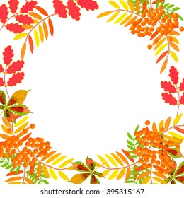 Autumn abstract floral frame from colorful leafs and rowan berries on white background. Vector illustration