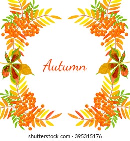 Autumn abstract floral frame from colorful leafs and rowan berries on white background. Vector illustration