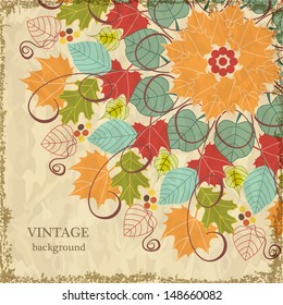Autumn abstract  leaf background