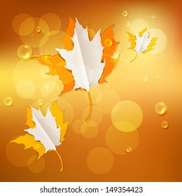 Autumn abstract nature background with maple  leaf 