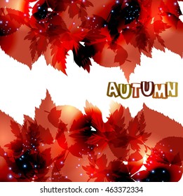 Autumn abstract vector background with leaves, flyer brochure, colorful EPS10,