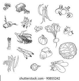 Autumn abundance of fresh vegetables