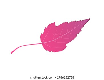 Autumn, acacia leaf, fallen, crimson color, impression shade, contour, shape