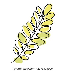 Autumn acacia tree leaf isolated on white background. Yellow leaves in linear art with the addition of a green spot. Vector illustration.