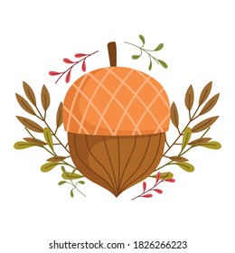 autumn acorn leaves nature foliage vegetation vector illustration