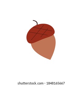 autumn acorn on white background