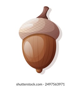 Autumn acorn on a white background. Vector single illustration. Icon, drawing, graphic element.
