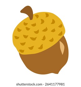 autumn acorn vector illustration, fall oak nut clipart, seasonal nature graphic isolated on white