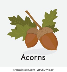 Autumn Acorns Vector Illustration with Rustic Fall Colors