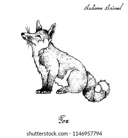 Autumn Animal, Illustration Hand Drawn of Fox Isolated on White Background. Symbolic Animal to Show The Signs of Autumn Season. 
