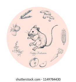Autumn Animal, Illustration Hand Drawn of Field Mice with Mushroom, Corn, Carrot, Wheat, Apples and Berries. Symbolic Animal to Show The Signs of Autumn Season. 