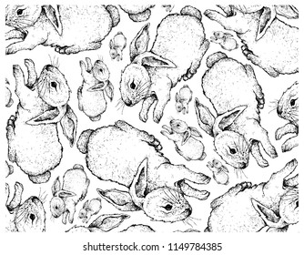 Autumn Animal, Illustration Wallpaper Background of Hand Drawn of Bunny Rabbits. Symbolic Animal to Show The Signs of Autumn Season. 