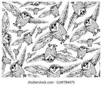 Autumn Animal, Illustration Wallpaper Background of Hand Drawn of Owls. Symbolic Animal to Show The Signs of Autumn Season. 