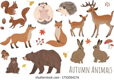 autumn animal illustration water paint