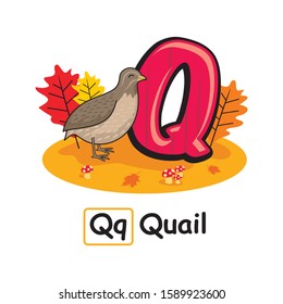 Autumn Animals Alphabet Cartoon Quail