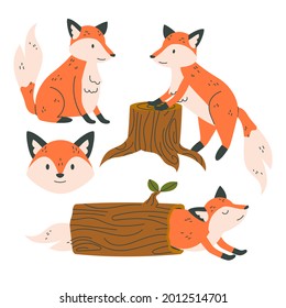 Autumn animals. Fall october season. Wild forest animals, wildlife.  Autumn woodland children design background. Orange nature. Baby vector illustration. 