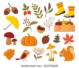 Autumn animals and plants vector illustrations set. Collection of cartoon drawings of tree leaves, harvest, squirrel, mushrooms isolated on white background. Nature, seasons, autumn or fall concept