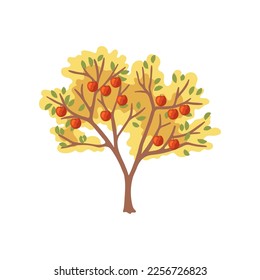Autumn apple tree vector illustration. Cartoon drawing of farm plant on white background. Farming, autumn, harvest, Thanksgiving concept