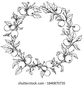 Autumn apple wreath drawing vector