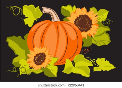 Autumn arrangement - pumpkin and sunflowers with a background of green leaves. Vegetables and flowers. Vector isolated color picture on a black background.
