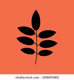 Autumn Ash Leaf icon isolated on green background.