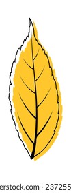 Hojas de ceniza otoñales. Hojas de ceniza otoñales en forma de boceto de doodle. Ilustración vectorial.