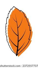 Hojas de ceniza otoñales. Hojas de ceniza otoñales en forma de boceto de doodle. Ilustración vectorial.
