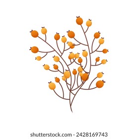 Autumn attribute of colorful set. This artwork showcases a dog-rose in vivid orange hues that evokes the seasonal charm of autumn against a pristine white background. Vector illustration.