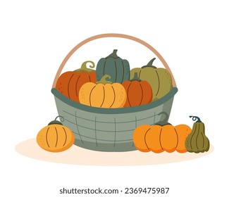 Autumn backdrop with colourful pumpkins In the basket. Thanksgiving concept, harvest concept.	