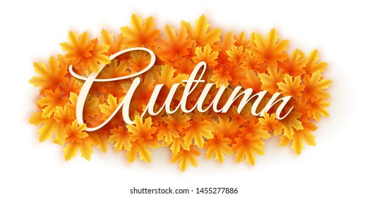 Autumn backgound. Scattered maple leaves isolated on white background with text. Autumn leaf bouquet. Seasonal banner for your design. Vector illustration. EPS 10
