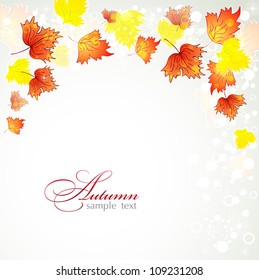 autumn background
