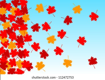 Autumn background