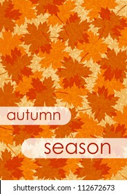Autumn background
