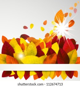 Autumn background.