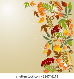 Autumn  background