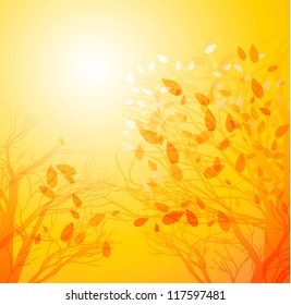 Autumn background