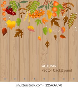 Autumn background