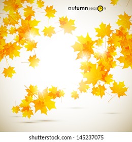 autumn background