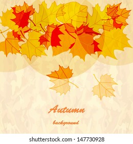autumn background