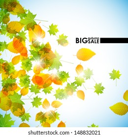 autumn background