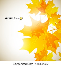 autumn background
