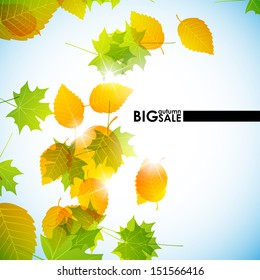 autumn background