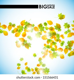 autumn background